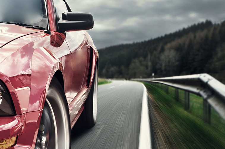 Taizhou Dishun Trading Co., Ltd.